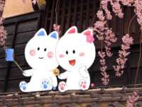 新沂市梵花服饰有限公司