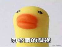 新沂市梵花服饰有限公司