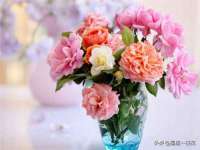 新沂市梵花服饰有限公司