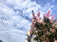 新沂市梵花服饰有限公司