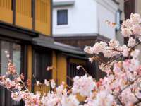 新沂市梵花服饰有限公司