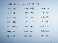 新沂市梵花服饰有限公司
