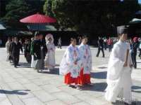 新沂市梵花服饰有限公司